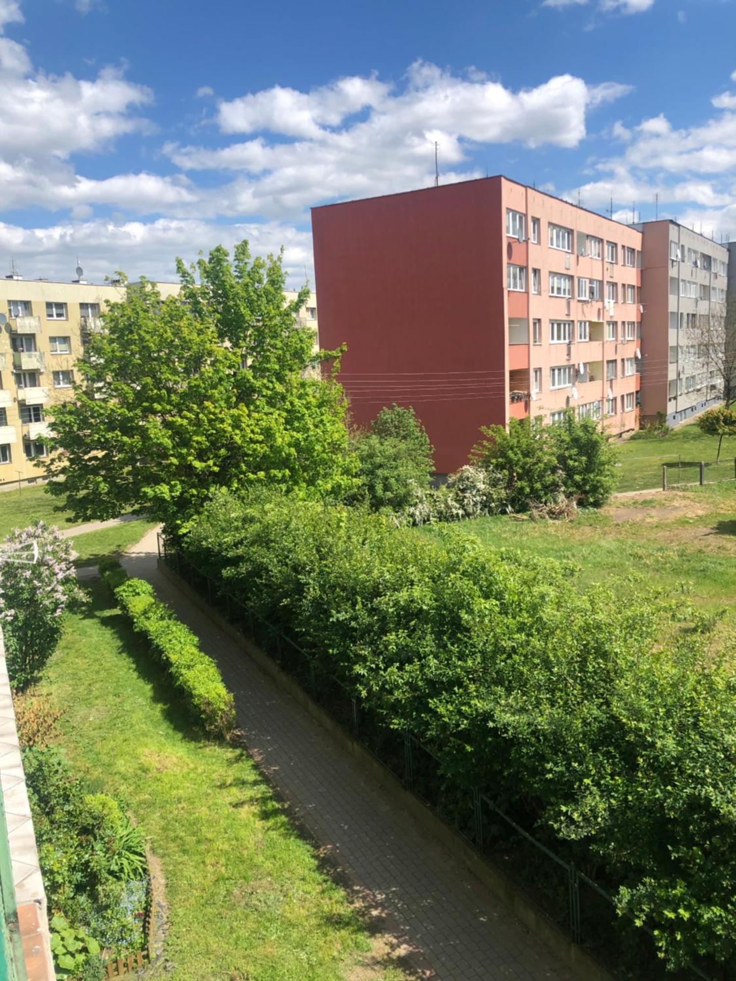 Noclegi Na Sudeckim Świebodzice Buitenkant foto